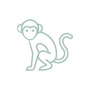 Animal Encounters