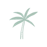 Palm Tree Box